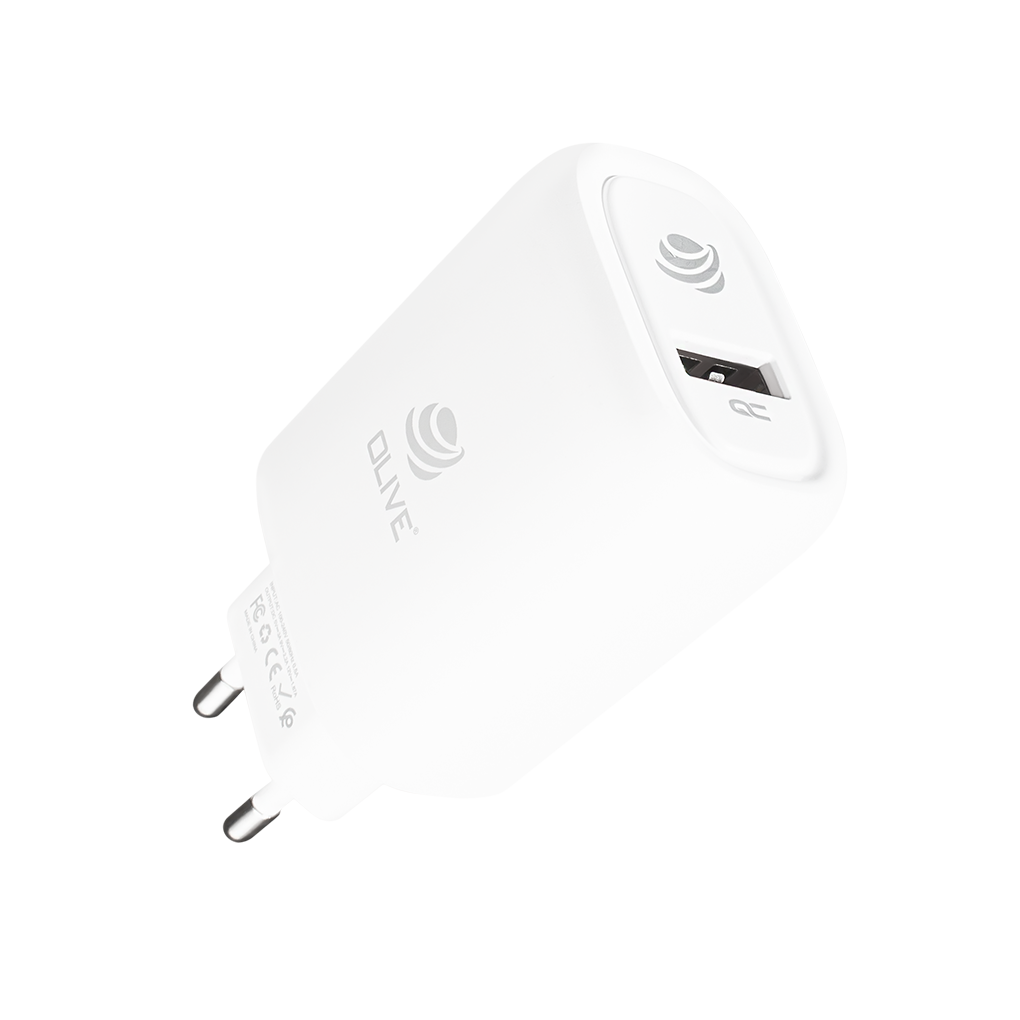OL_PDU115 Charger