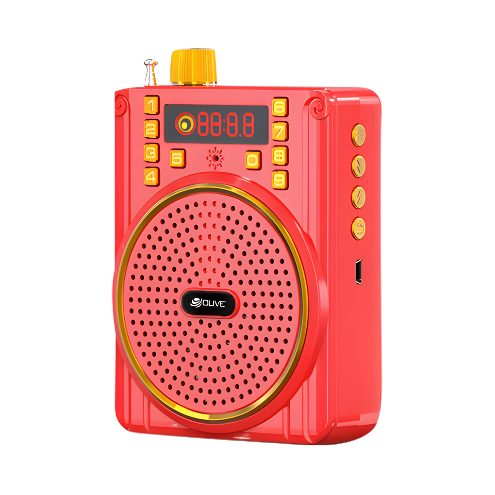 2204 BT Speaker